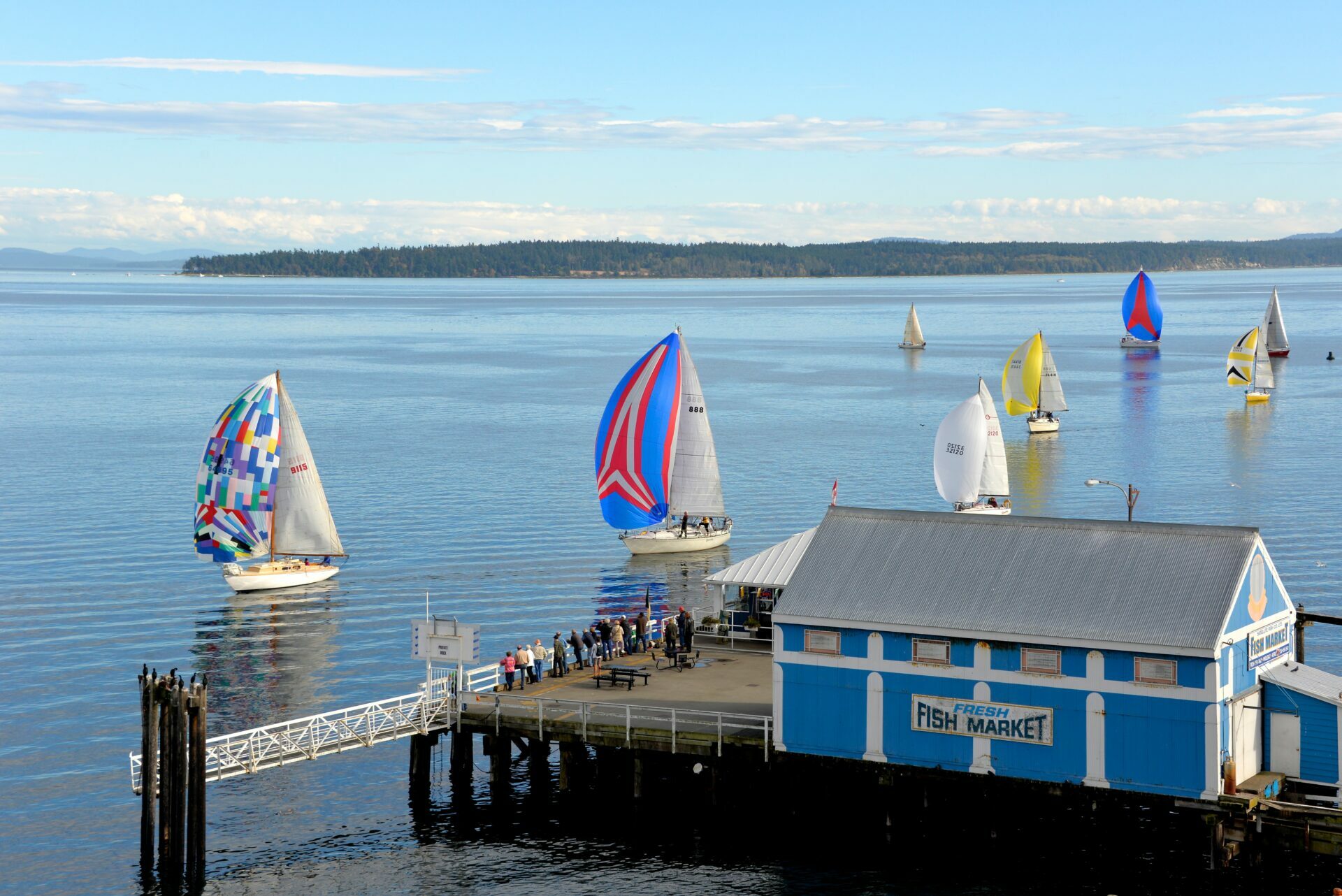A-colorful-race-concludes-at-Sidneys-piers