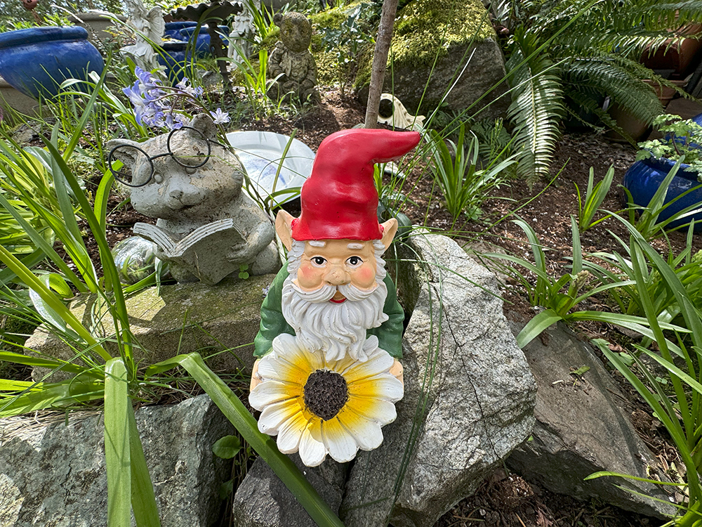 IMG_5549