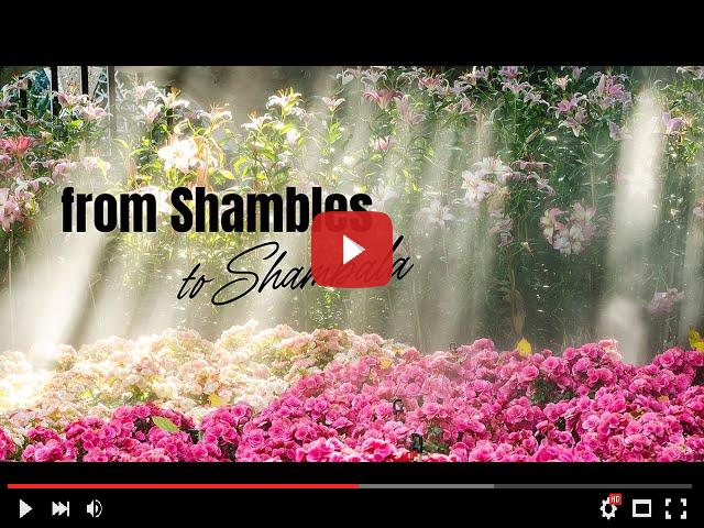 video_preview_ee25fce9841ed742cc87088ded35f91e.jpg