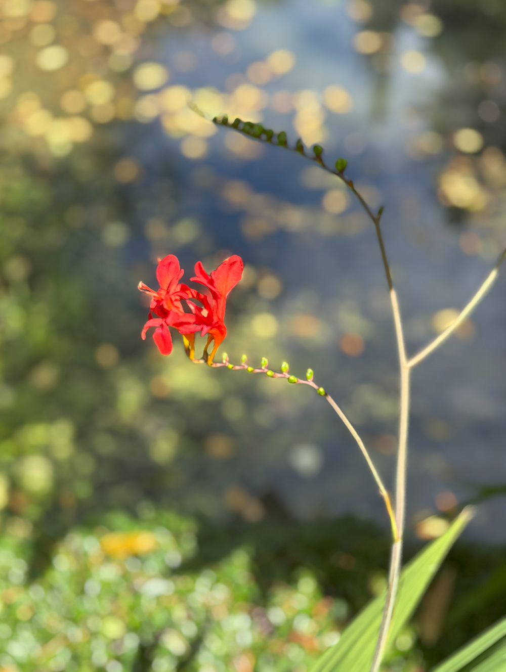 IMG_6771