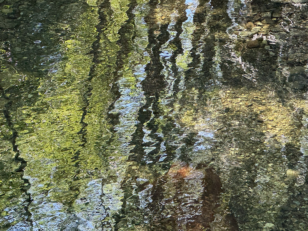 Rithets_Creek-Water_Tour